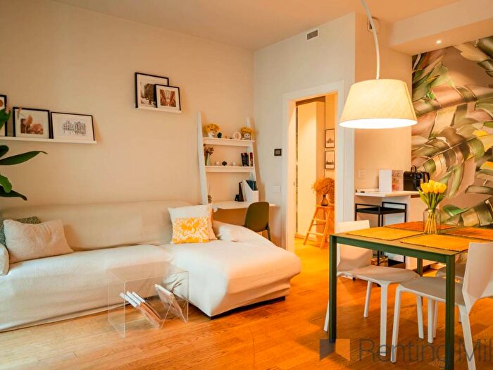 Appartamento bilocale in affitto in Via Luigi Canonica, Paolo Sarpi, Milano