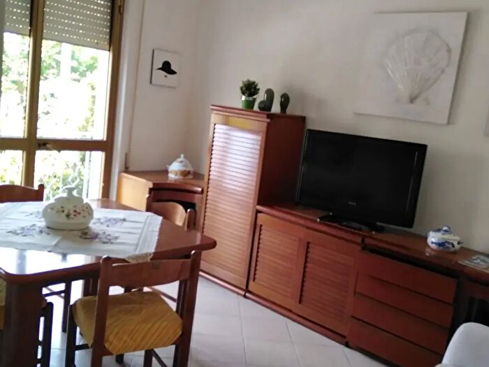 Appartamento trilocale in affitto in Via Curtatone, Camaiore