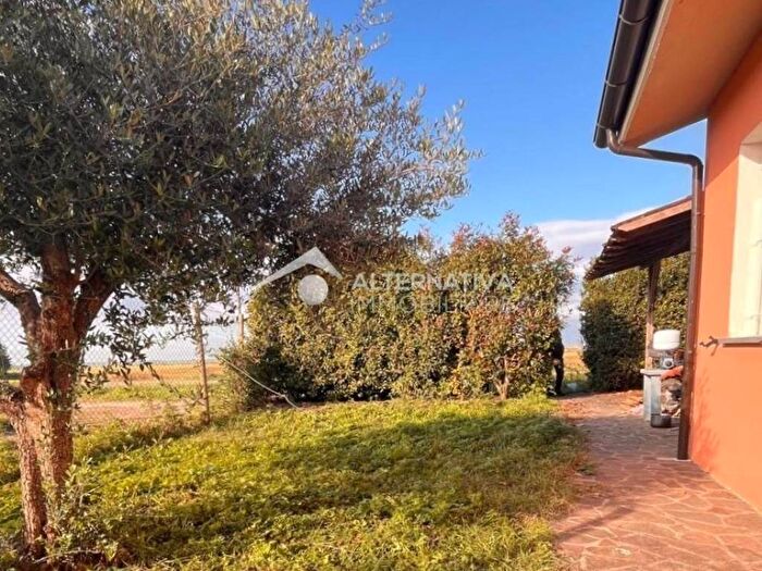 Casa quadrilocale in affitto in Via Callestro, Coltano Le Rene, Pisa