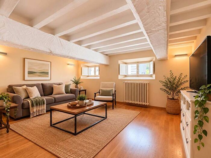 Appartamento quadrilocale in affitto in Borgo Ognissanti Il Prato, Firenze