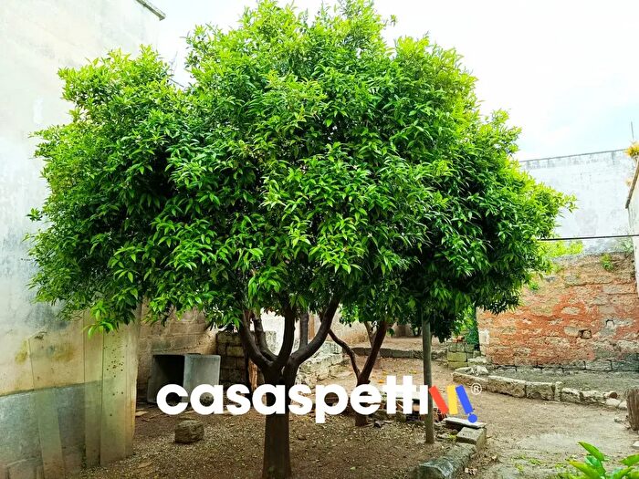 Appartamento trilocale in vendita in Corso Umberto, Trepuzzi
