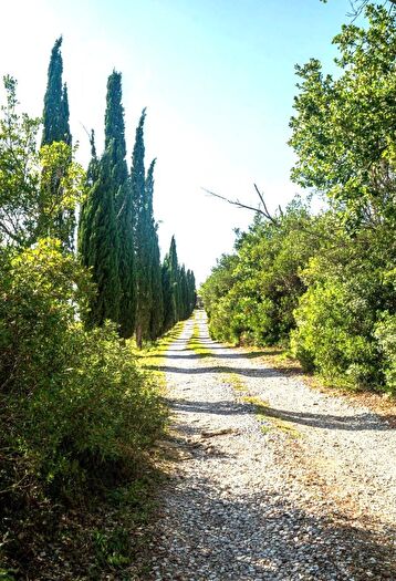 Appartamento con 20 locali in vendita in Monterotondo Marittimo