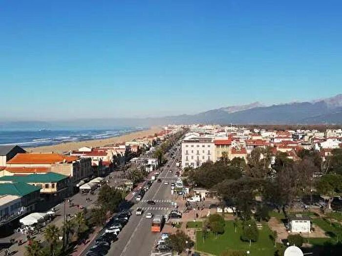 Appartamento quadrilocale in affitto in Viale Regina Margherita, Lungomare, Viareggio