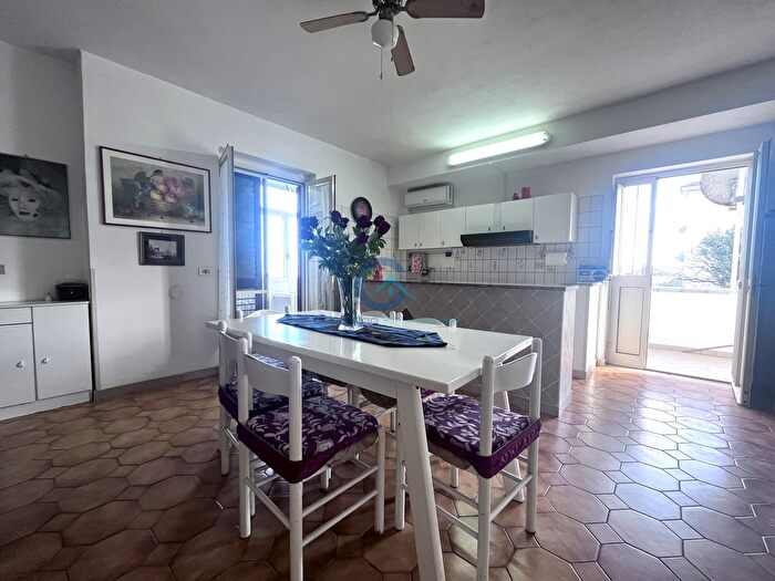 Appartamento trilocale in affitto in Davoli