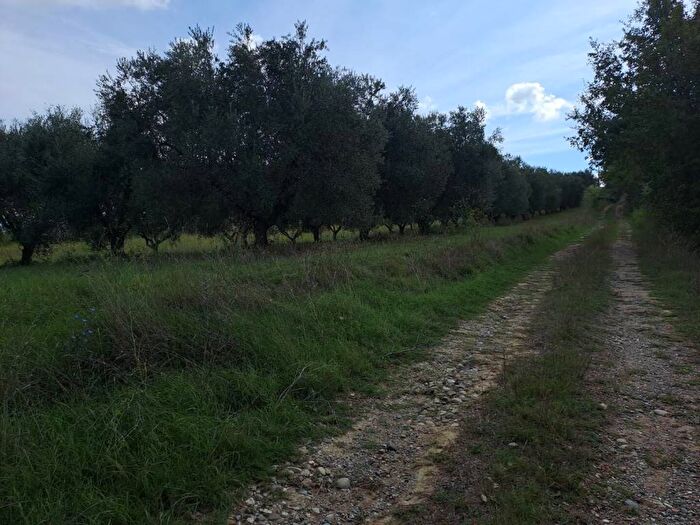 Casa in vendita in Strada Provinciale Cinigianese, Cinigiano