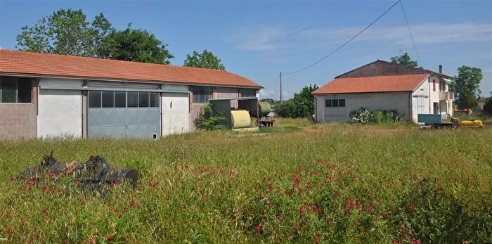Casa con 9 locali in vendita in Orciano Pisano