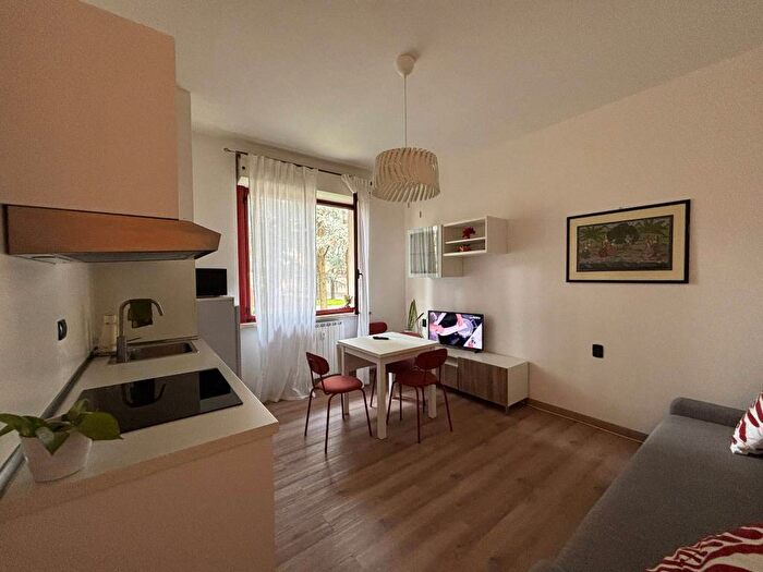 Appartamento monolocale in affitto in Via Giuseppe Mazzini, San Domenico, Legnano