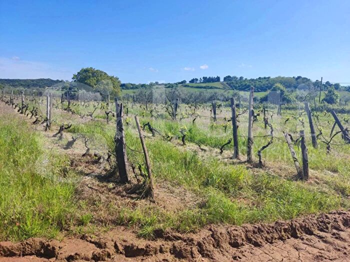 Casa quadrilocale in vendita in Montebamboli, Massa Marittima