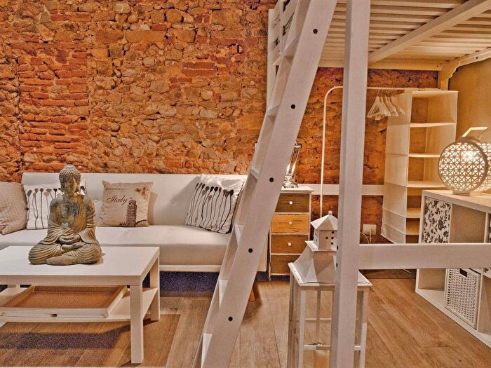 Appartamento monolocale in affitto in Via dei Pepi, Sant'Ambrogio, Firenze