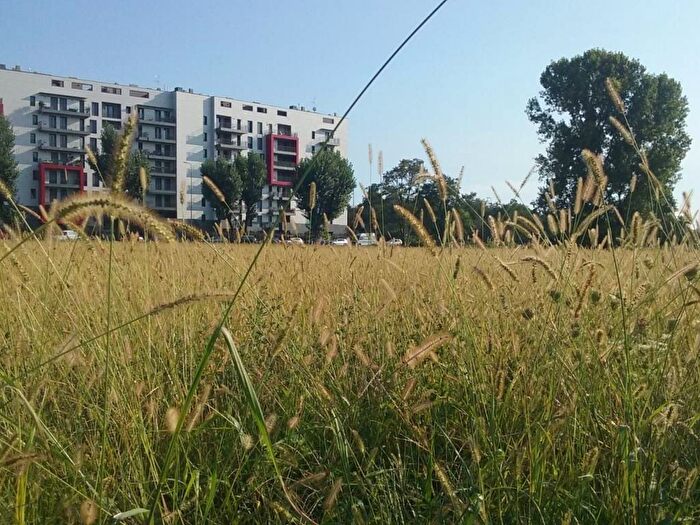 Appartamento bilocale in affitto in Via Caldera, Quarto Cagnino, Milano