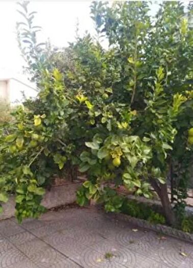 Casa trilocale in vendita in Via Lungomare Tirreno, Amantea