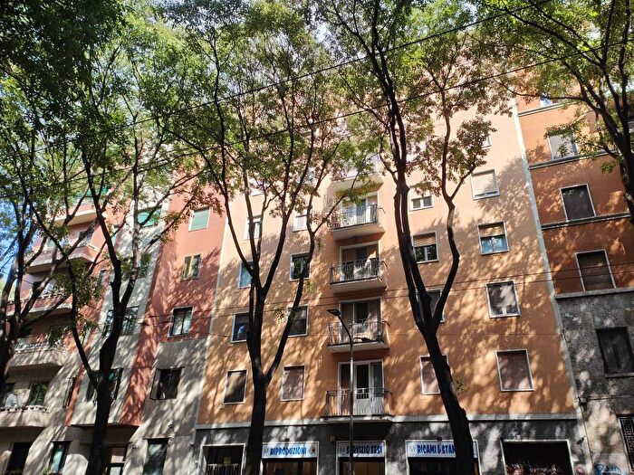 Appartamento trilocale in affitto in Via Gaspare Aselli, Città Studi, Milano