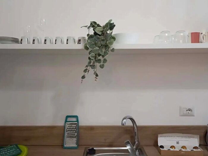 Appartamento monolocale in affitto in Via Gressoney, Milano