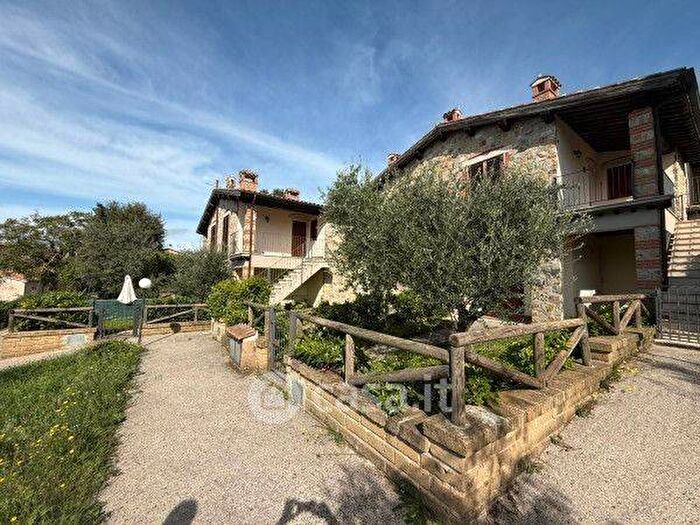 Appartamento bilocale in affitto in Manciano