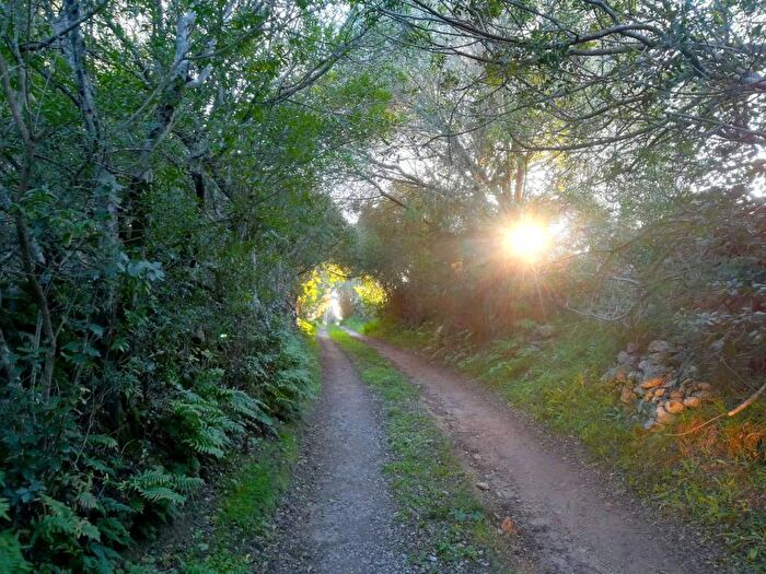 Casa monolocale in affitto in SP, Arzachena Paese, Arzachena