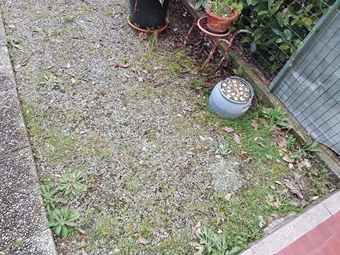 Casa con 5 locali in vendita in Lavoria Pi, Crespina Lorenzana