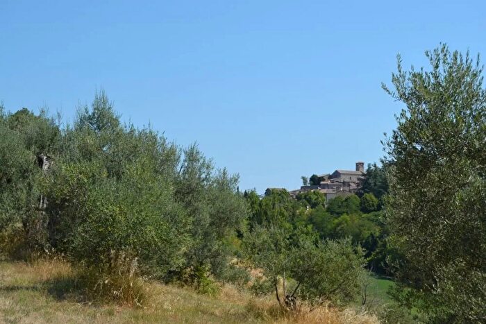 Casa con 10 locali in affitto in Montone