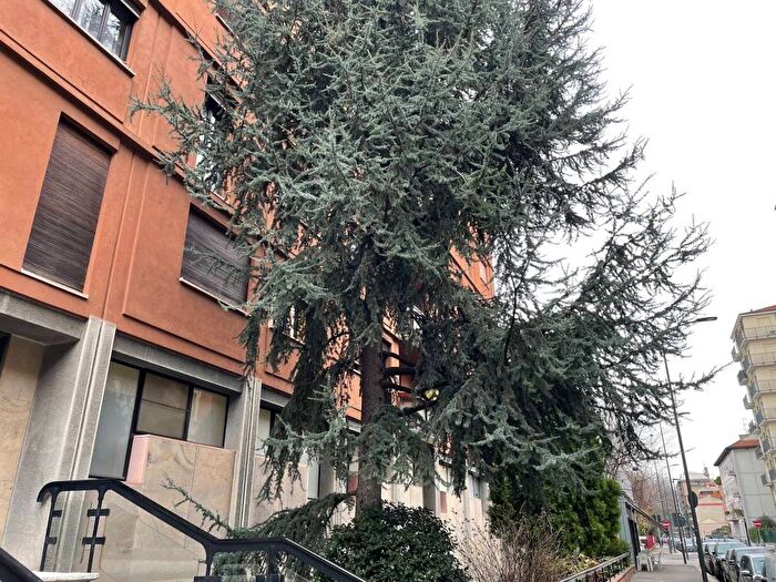 Appartamento bilocale in affitto in Via Moisè Loria, Solari, Milano