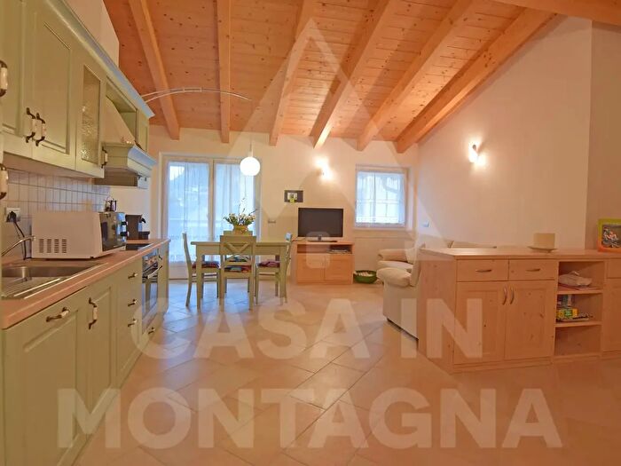 Appartamento trilocale in affitto in Predazzo