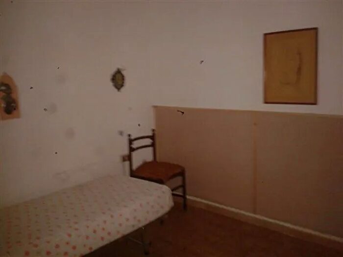 Casa trilocale in affitto in Massarosa