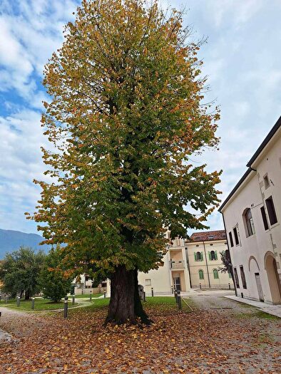 Appartamento con 6 locali in vendita in Vittorio Veneto