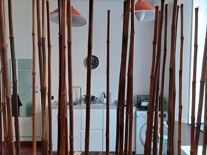 Appartamento monolocale in affitto in Via Ruggero Bonghi, Milano