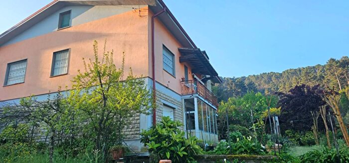 Casa con 7 locali in vendita in Via dei Sodini Capannori, Capannori