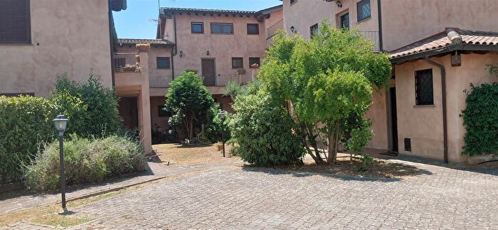 Appartamento quadrilocale in affitto in Scansano