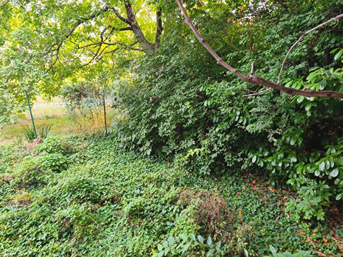 Appartamento trilocale in affitto in Strada delle Fonderie, Parco Ducale Oltretorrente, Parma