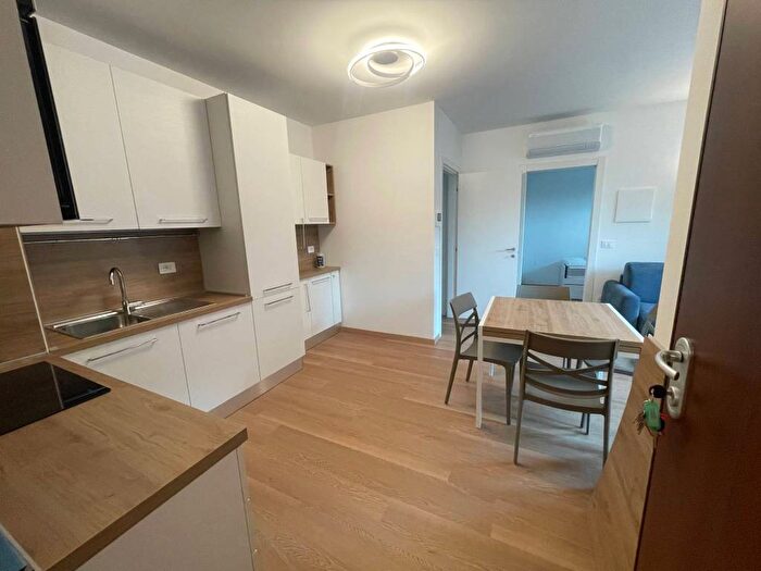 Appartamento bilocale in affitto in Via Monza, Lissone