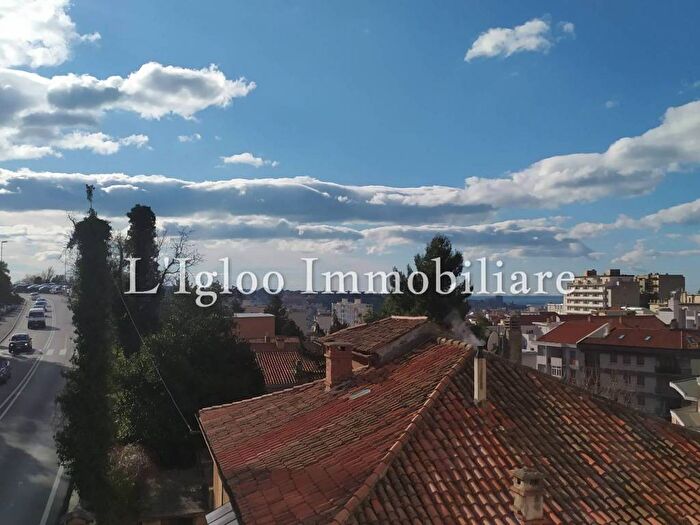 Appartamento trilocale in affitto in Cologna Università, Trieste