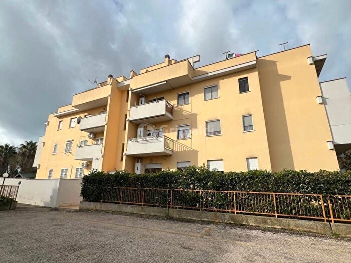 Appartamento quadrilocale in affitto in Via della Seccia, Loricina Seccia Tre Cancelli, Nettuno