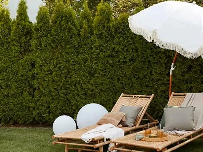 Appartamento trilocale in vendita in Padova Pontevigodarzere, Padova