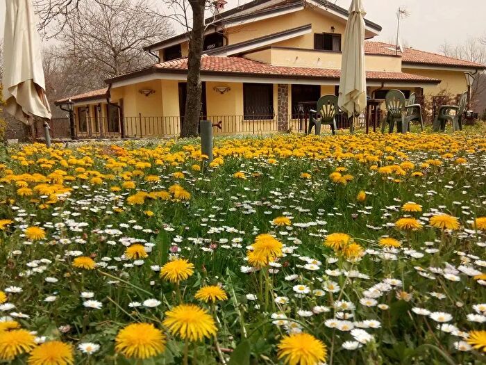 Casa con 9 locali in vendita in Sc Pratolongo Località Cerchiara Snc, Roccamonfina