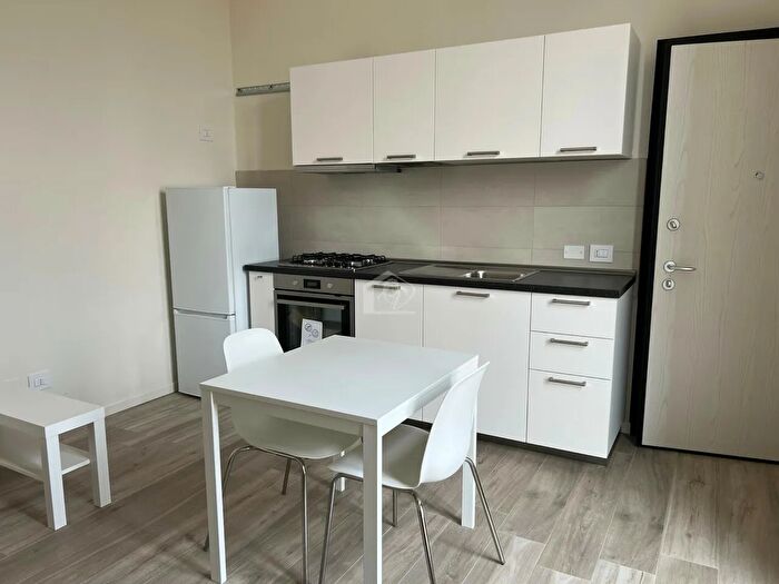 Appartamento bilocale in affitto in Suzzara