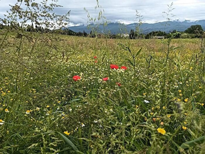 Casa con 5 locali in vendita in Località Prulli di Sotto Reggello, Reggello