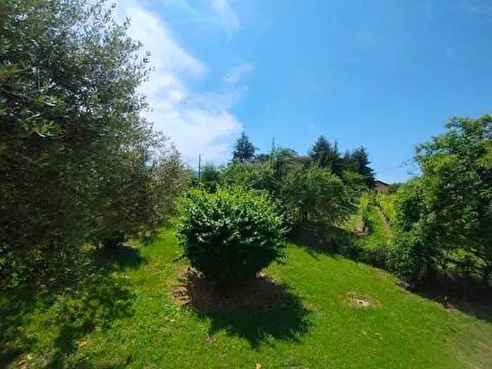 Casa bilocale in affitto in Frazione Molinello No Number, Golferenzo