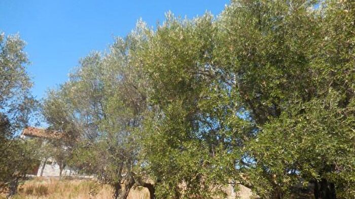 Casa con 6 locali in vendita in Via Santa Maria del Colle, Jesi