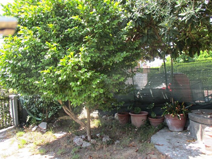 Casa con 7 locali in vendita in Bientina