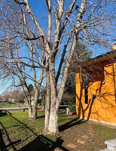 Casa con 8 locali in vendita in Strada Pellaloco, Roverbella