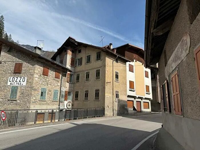 Casa in vendita in Lozzo Di Cadore