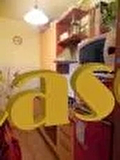 Appartamento quadrilocale in vendita in Viareggio