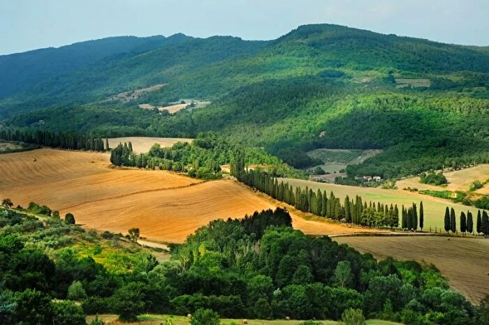 Casa con 20 locali in vendita in Barberino Di Mugello
