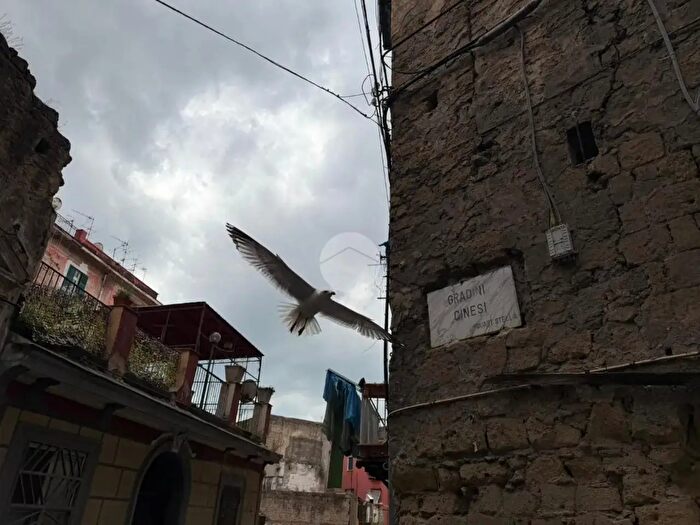 Appartamento quadrilocale in vendita in Gradini Cinesi, Napoli