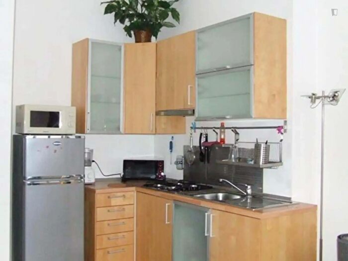 Appartamento monolocale in affitto in Via Santa Croce, Bologna