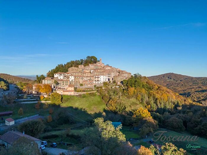 Appartamento con 6 locali in vendita in Via Alduino Barlettai, Montieri