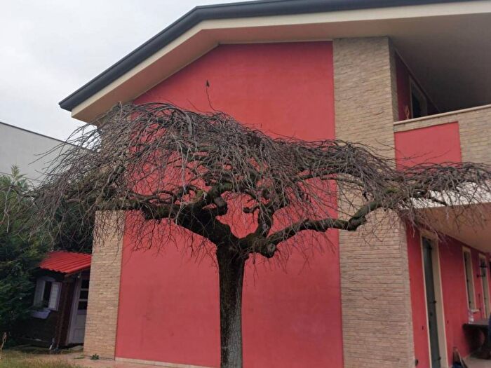 Casa con 5 locali in affitto in Centro San Tommaso, Albignasego