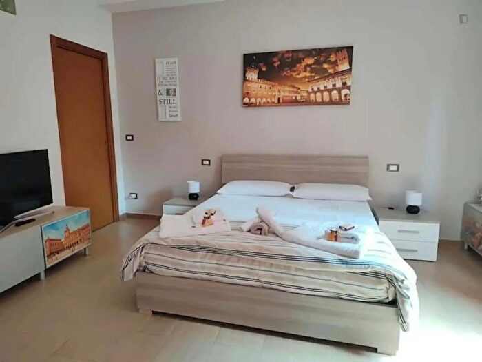 Appartamento monolocale in affitto in Viale Carlo Berti Pichat, Bologna