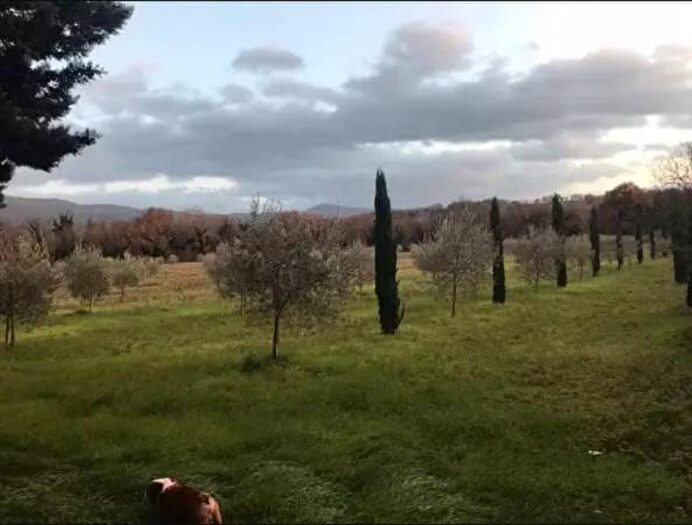 Casa con 5 locali in vendita in Vocabolo Raggio, Massa Martana