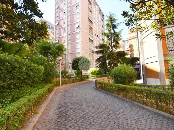 Appartamento con 5 locali in affitto in Via Tripolitania, Roma
